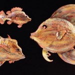 3fish-lg