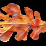 leaf2-lg