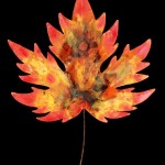 leaf5-lg